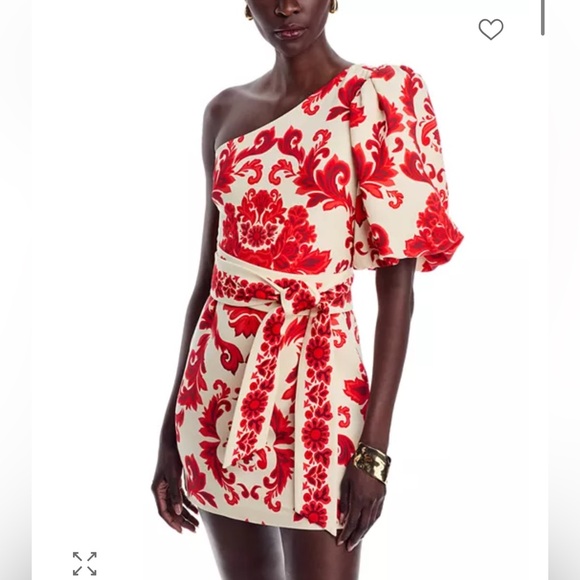 Cara Cara One Shoulder Red Floral Dress - Picture 4 of 9